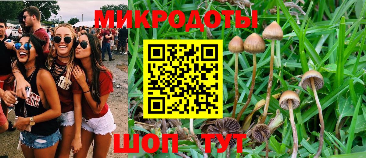 Псилоцибиновые грибы Cubensis  Вход с VPN  Сунжа 